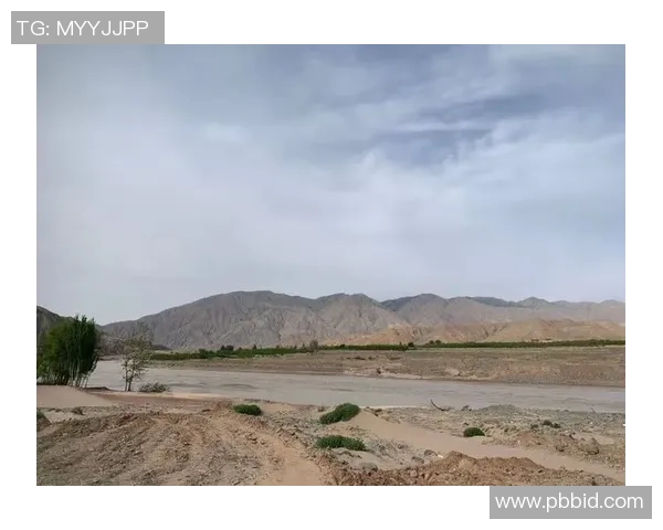 南京排球队与广州排球队赛后复盘分析意识与战术的深度探讨